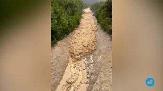 Spectacular debris flow in the Gorges de l'Ill, Switzerland