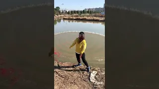 Amazing Asian Cast Net Fishing to Catching a big fish in the river 50