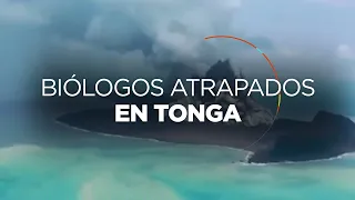 Dos biólogos mexicanos piden ser rescatados de la isla Tonga