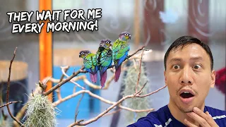 What it's Like Having a Giant Aviary Built in the Middle of Your House - Oct. 26, 2022 | Vlog #1569