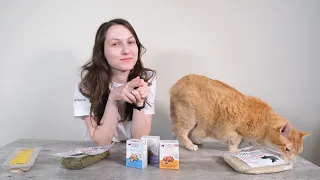 Top 5 Best Human-Grade Cat Foods (We Tried Them All)