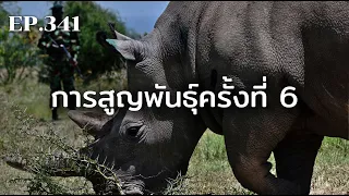 การสูญพันธุ์ครั้งที่ 6 หายนะจากมนุษย์ | ร้อยเรื่องรอบโลก EP.341