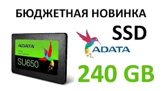 SSD диск ADATA 2.5" SU650 240 Гб SATA III TLC (ASU650SS-240GT-R)