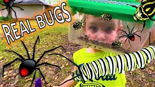 BUG HUNT for REAL Bugs! CATERPILLAR, Spiders, BEETLES, Roly Polys, EARWIG, Moth & MORE for KIDS!!