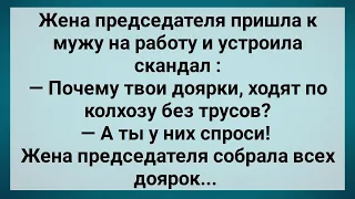 Доярки по Колхозу Без Трусов Ходят! Сборник Свежих Анекдотов! Юмор!