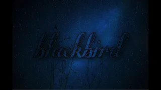 ECSC #141 - Finland - Grace Woodard - Blackbird
