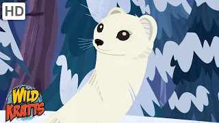 Wild Kratts ⛄ Snowy Species part 2 🎄 Happy Holidays!