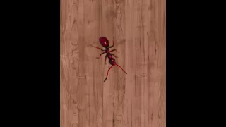 Ant Smasher - "Убийца муравьёв".