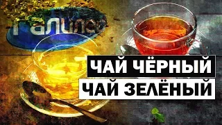 Галилео | Чем отличается черный чай от зелёного? ☕