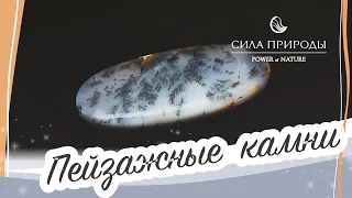 Самые пейзажные драгоценные камни и минералы с красивой фактурой Сила природы