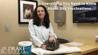 Everything You Need to Know About Dog Vaccines