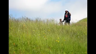 Hirtenleben im Hinterarni   (ganzer Film)