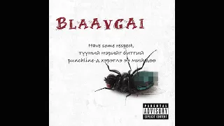 Rokit Bay - BLAAVGAI (lyric video)