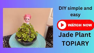 DIY Doll jade planter ideas#minigarden #plants #viral #gardendecor #gardenideas #doll #planter ideas