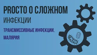 PROCТО О СЛОЖНОМ  Малярия, Инфекционные болезни №11