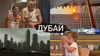 ИСТОРИЯ ПРО ТО, КАК МЫ СНЯЛИ КВАРТИРУ ЗА ХУЛЛИАРД, С ТАРАКАНАМИ 😂