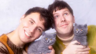 Dan and Phil AND CATS!