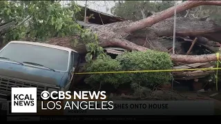 People inside Monrovia home crushed by huge tree