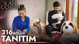 Kan Çiçekleri 316. Bölüm Tanıtımı