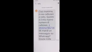 'Mamma questo è il mio nuovo numero, mi mandi WhatsApp?'. La nuova truffa via sms. "Non rispondete"