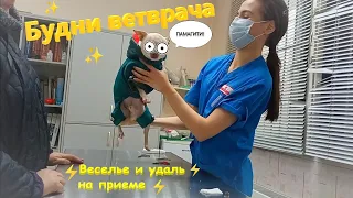 Приём у ветврача. Юмор, приколы, веселые будни!