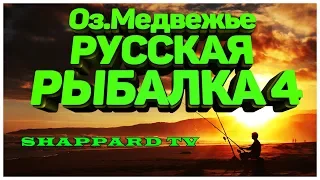 Русская рыбалка 4 🐬Клев от Деда Мороза🎣РОЗЫГРЫШИ СНАСТЕЙ,НАЖИВОК И БЛЕСЕН👀