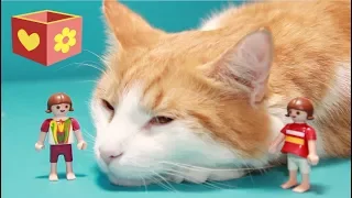 Cute cat | Bellboxes | Part Seven | Simba playmobil cat | 7 |