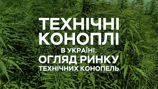 Технічні коноплі в Україні.  Огляд ринку технічних конопель