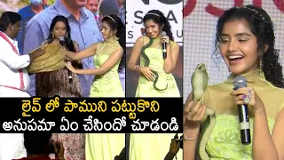 Anupama Parameswaran Accepted Anchor Suma's Dare | Karthikeya 2 Pre Release Event | News Buzz