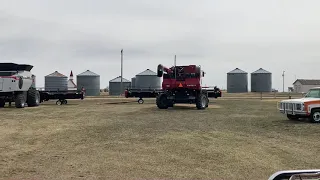 2009 Case IH 7120 Combine for sale at auction