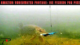 Amazing Underwater Footage: Ice Fishing For Pike