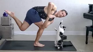 Cats Interrupting Yoga