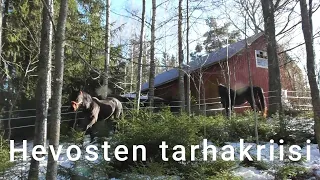 Hevosten tarhakriisi