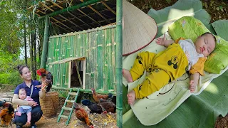 Baby hungry for milk - The kindness of a stranger who feeds her | Make a chicken coop | Ly Thi Gam
