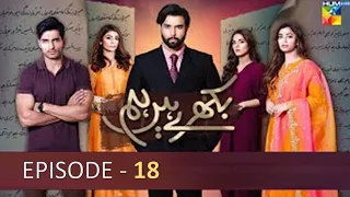 Bikhray Hain Hum - Episode 18 - 21st Sep 2022 - (Noor Hassan - Zoya Nasir) - AMIR DRAMAS TV