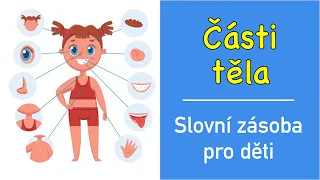 Učení slov pro děti | Části lidského těla (hlava, oči, nos, pusa, jazyk, zuby, uši, krk a další)