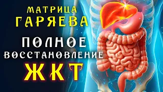 Мощная Матрица Гаряева для ЖКТ ☀️ Квантовое исцеление звуком ☀️Оздоравливающая Медитация