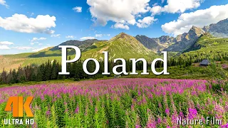 FLYING OVER POLAND 4K - A Relaxing Film for Ambient TV in 4K Ultra HD