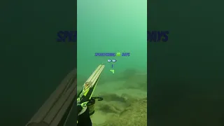 Crazy lucky shot with 2 fish