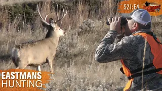 Mule Deer Hunting in Montana