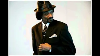 Snoop Dogg - Bosses Life ft Nate Dogg (432hz + Reverb)