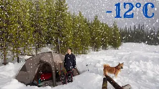 Spring Snow Camping: Cozy Comfort in a Frosty Wonderland