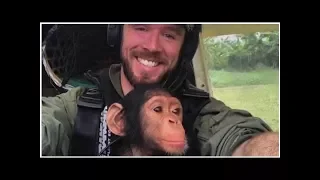 Orphan Chimp In Viral Video Broke Rescue Pilot's Heart