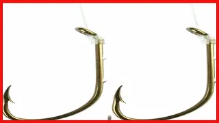 Eagle Claw 139H-6 Baitholder Snelled Fish Hook, 6 Piece (Bronze)