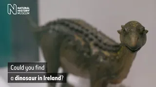 Can you find dinosaur fossils in Ireland? | Natural History Museum