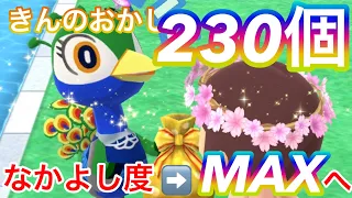 【ポケ森】ジュリアに￼ きんのおかしをまとめてあげたら　なかよし度が爆上がりした　そのこてちこリーフチケットもゲット💕✨