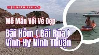 Du lịch Vĩnh Hy Ninh Thuận 2024 | Mê mẫn với vẻ đẹp tại Bãi Hỏm ( Bãi Rùa ) #vinhhy #ninhthuan