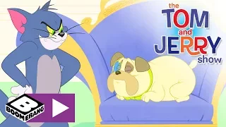 Tom și Jerry | Instructorul de fitness | Cartoonito