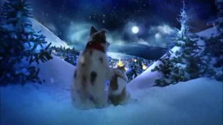 Chris Norman Christmas Song