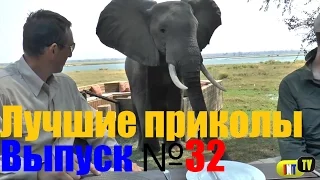 Подборка лучших приколов и неудач. Выпуск №32